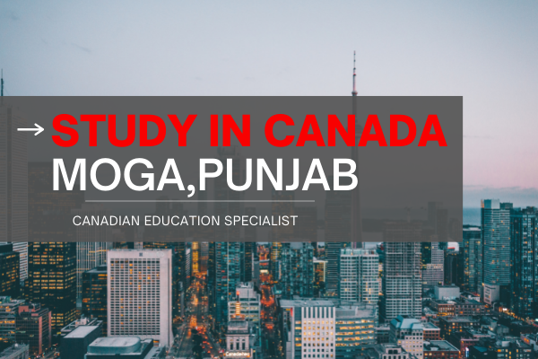 study abroad consultants in moga,punjab